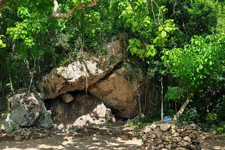 Sendero dentro del parque