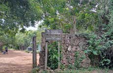 Tour del Parco Nazionale di Cotubanamá