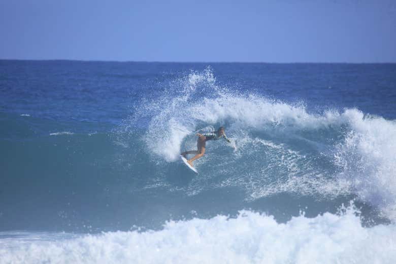 ¡Será una experiencia inolvidable!