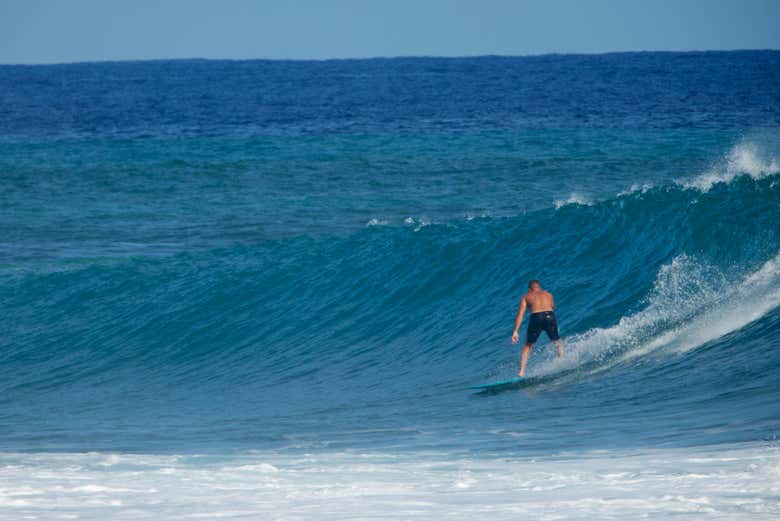 ¡Seréis unos expertos!