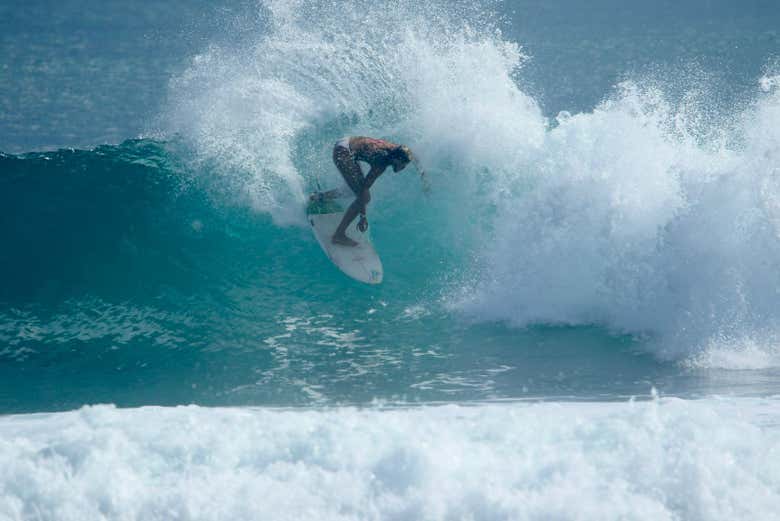 ¡Aprenderéis de los mejores!