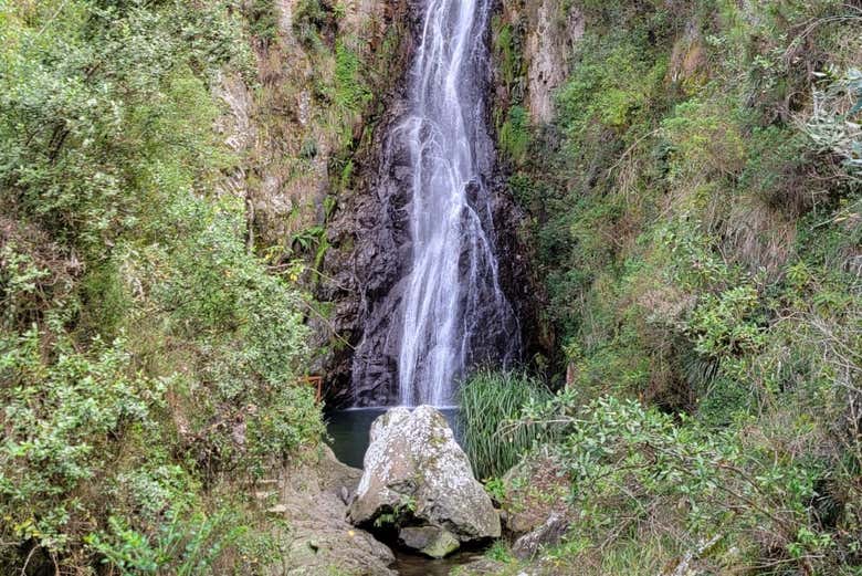 Disfrutaremos además del bello paisaje de esta zona dominicana