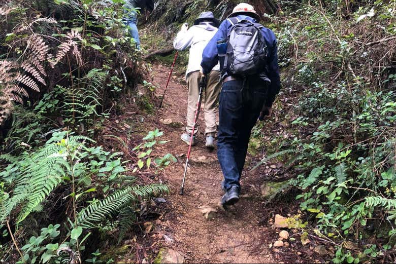 Atravessando a floresta que rodeia o Salto de Aguas Blancas