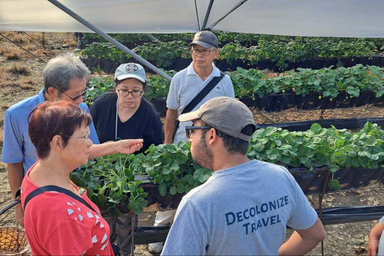 Aprendiendo sobre la producción