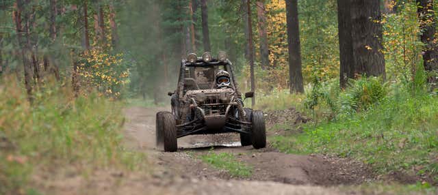 Tour en buggy por los Charcos de Damajagua