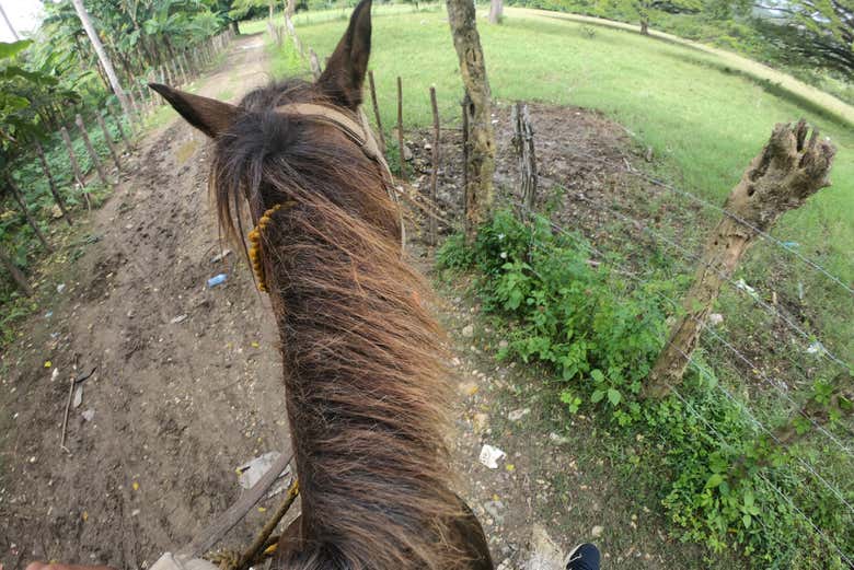 In sella al nostro cavallo
