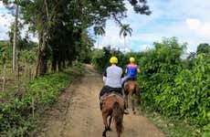 Horse Riding in Jamao al Norte