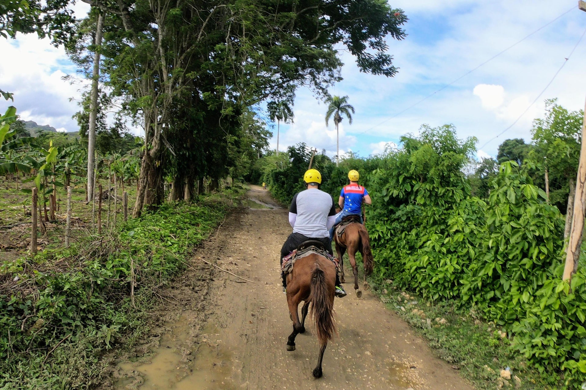 Passeio a cavalo por Jamao al Norte