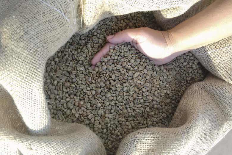 El café para exportación de Jarabacoa