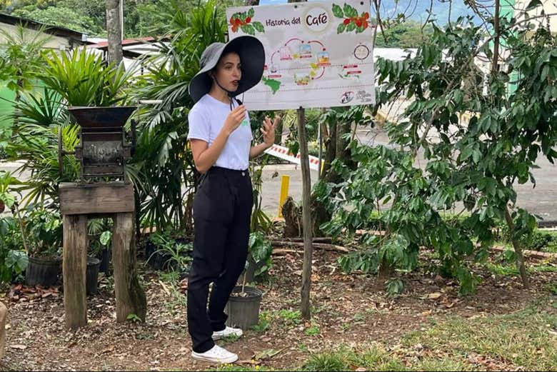 La guía contando sobre la historia del café