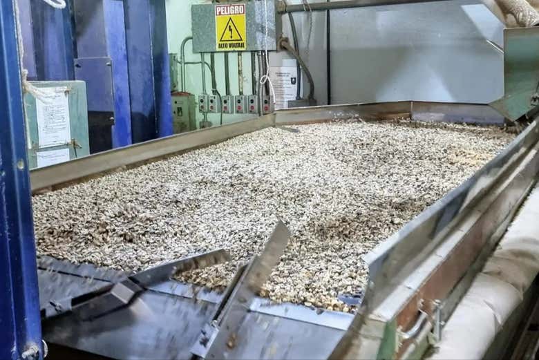 En el proceso de secado