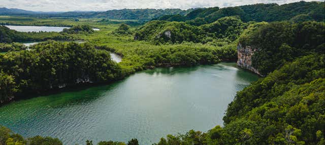 Excursion au parc national Los Haitises et à Cayo Levantado