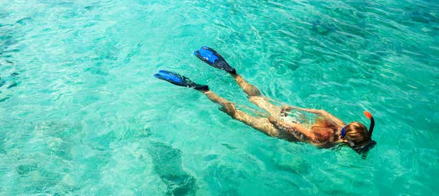 Isla Catalina Day Trip & Snorkelling