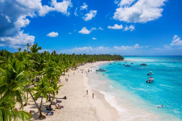 Saona Island Catamaran Cruise