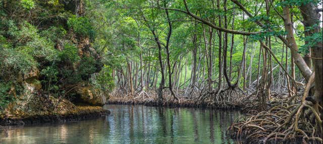 Excursion au parc national Los Haitises