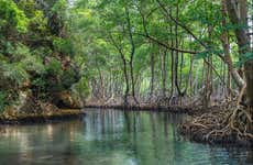 Los Haitises National Park Tour