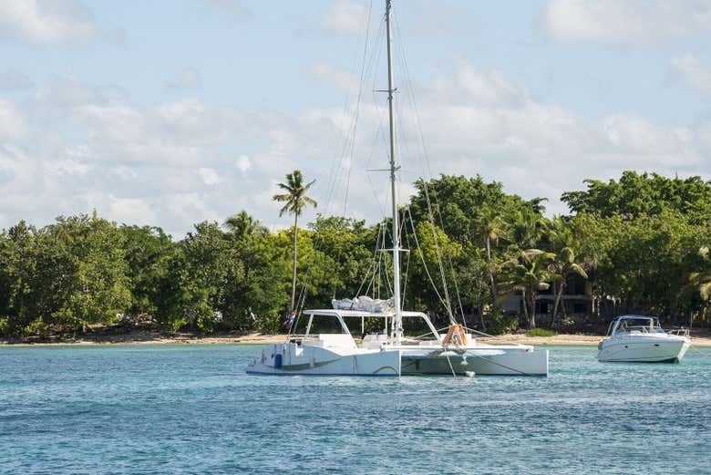 Catamaran cruise to Saona Island