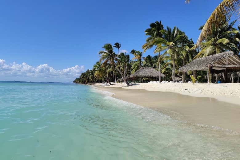 Beautiful beach on Saona Island