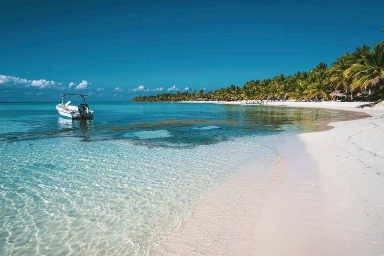 Lancha rápida junto a Isla Saona