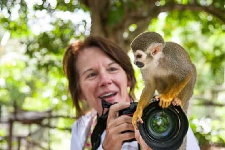 Monkeyland, Dominican Republic