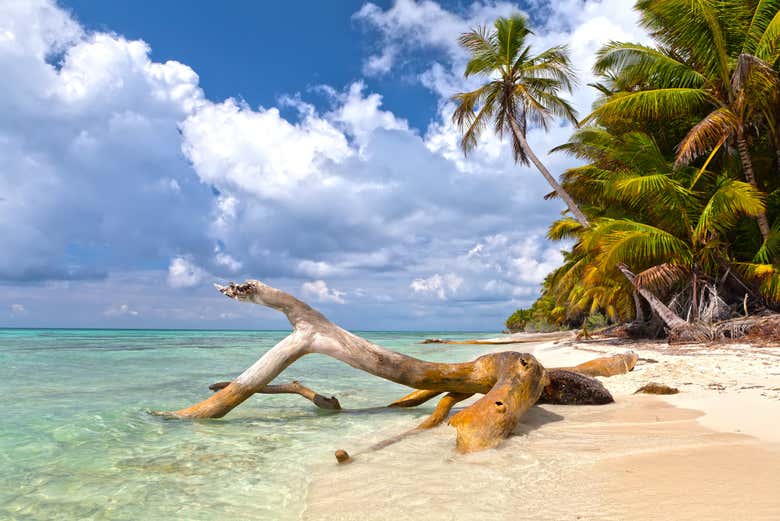 Experience paradise on Saona Island