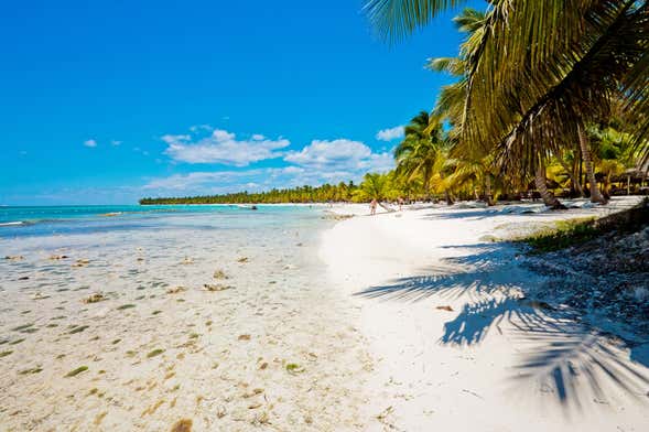 Tour por las playas de Isla Saona