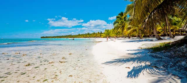 Tour por las playas de isla Saona