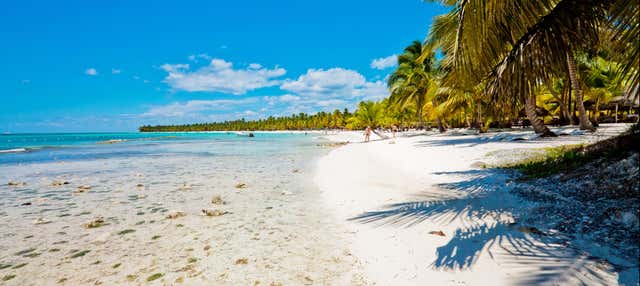 Saona Island Beach Tour