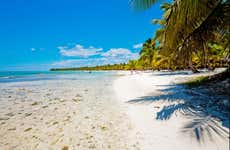 Tour por las playas de isla Saona