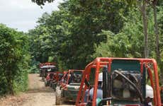 Tour en buggy o quad por los campos de azúcar