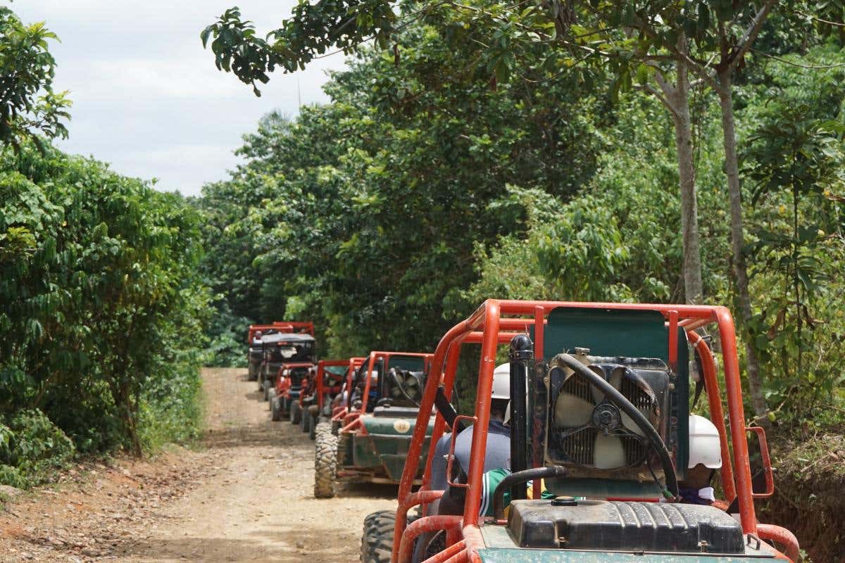 Tour dei campi di canne da zucchero in buggy o quad