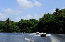 Conducción de lancha rápida por el río Chavón