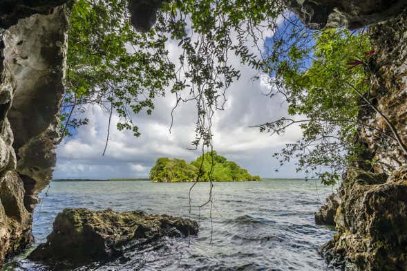 Excursión al Parque Nacional Los Haitises