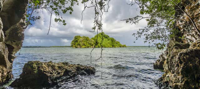 Excursion au Parc National Los Haitises