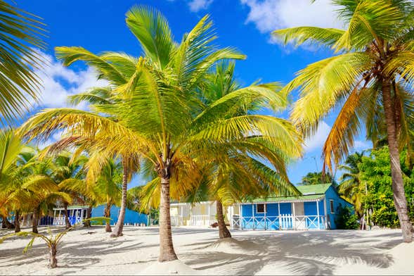 Saona Island Cruise