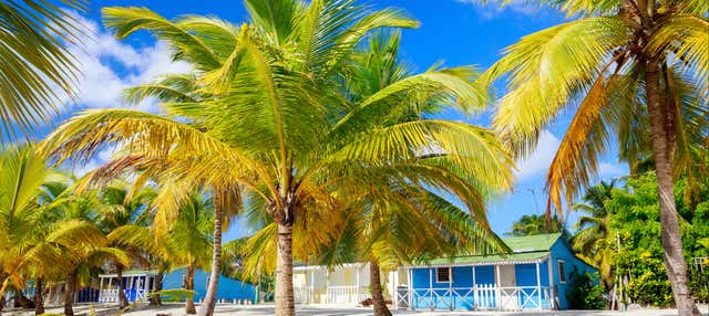 Excursión a Isla Saona en catamarán