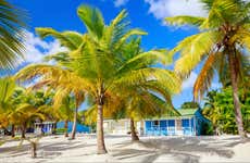 Excursão à ilha Saona de catamarã