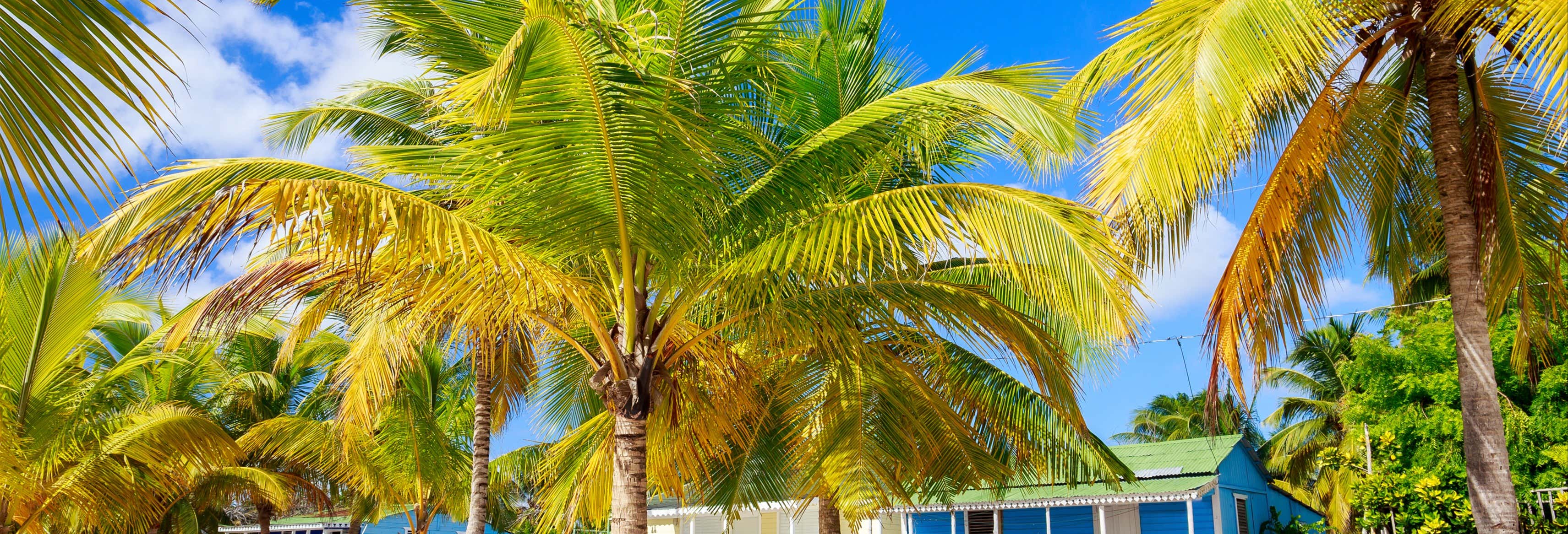 Day trips in La Romana