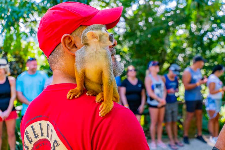 Visita di Monkeyland