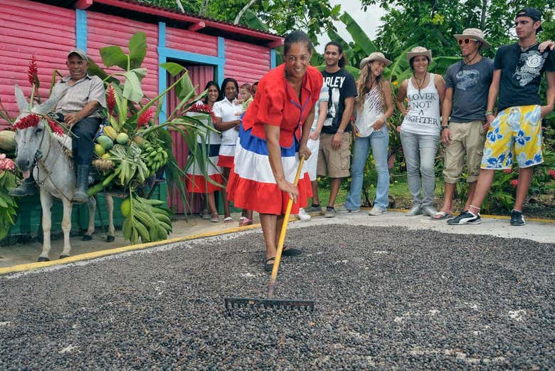 Piantagione di cacao in Repubblica Dominicana