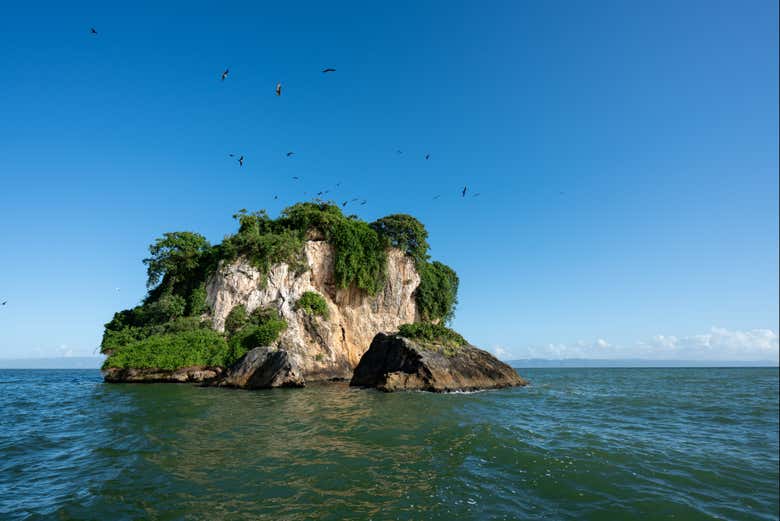 Conhecendo a selva dominicana