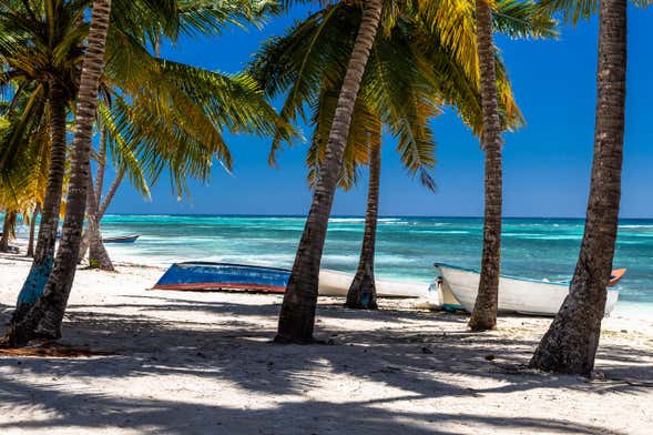 Tour por las playas de isla Saona