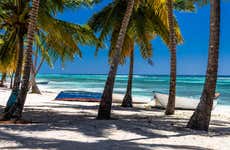 Tour por las playas de isla Saona