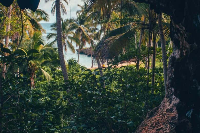A playa Madama é rodeada por uma vegetação exuberante