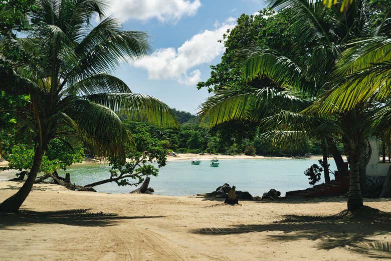 Vistas da Playa Rincón