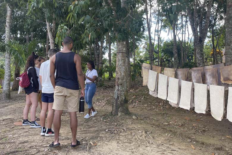 Conociendo las tradiciones rurales de Samaná