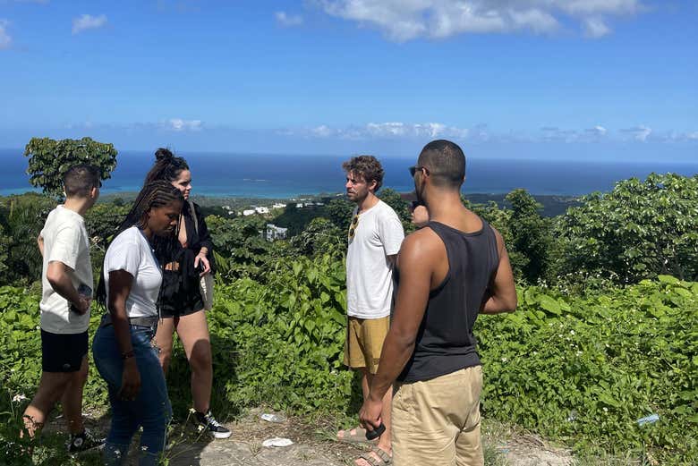 Scopriremo che tipo di prodotti vengono coltivati a Samaná