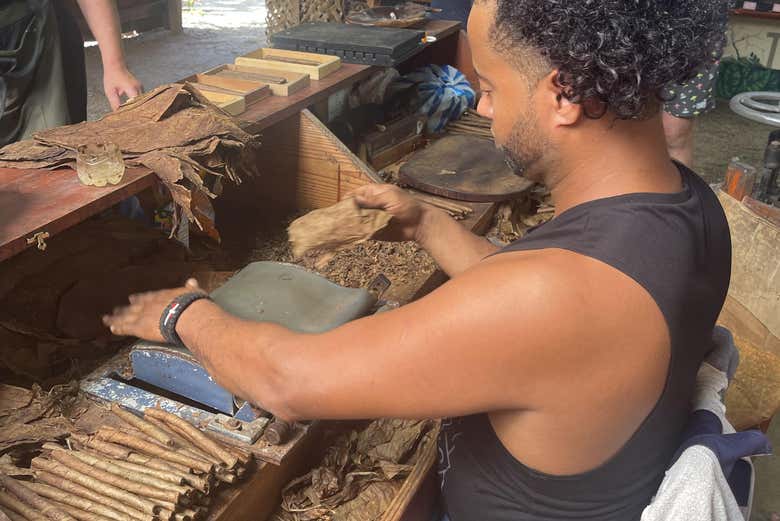 I sigari sono prodotti nelle comunità rurali di Samaná