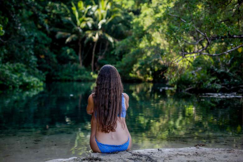 Contemplando la densa vegetación
