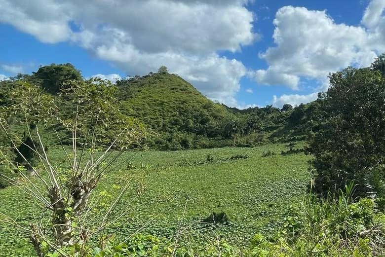 Attraverseremo la giungla di Samaná